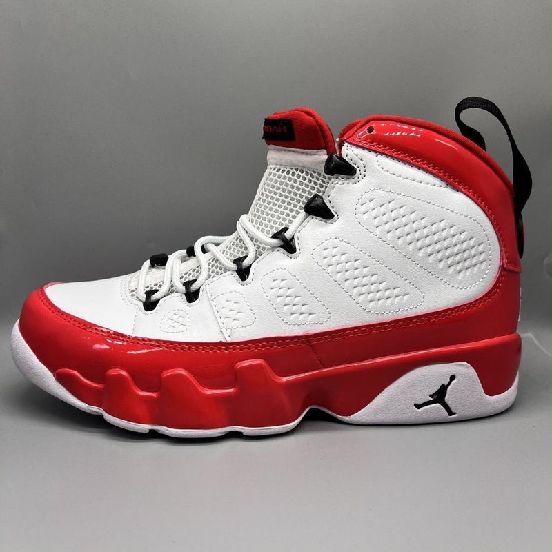 Air Jordan 29