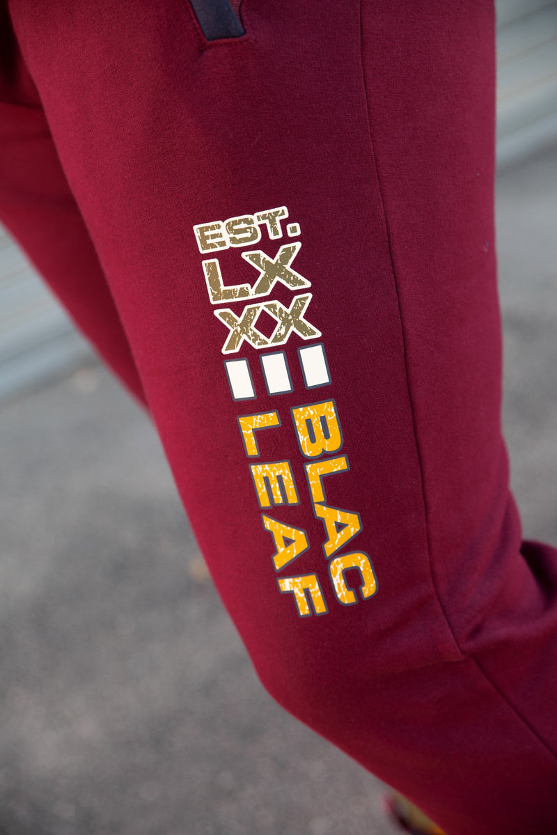 Basic Q Series Jogger Burgundy