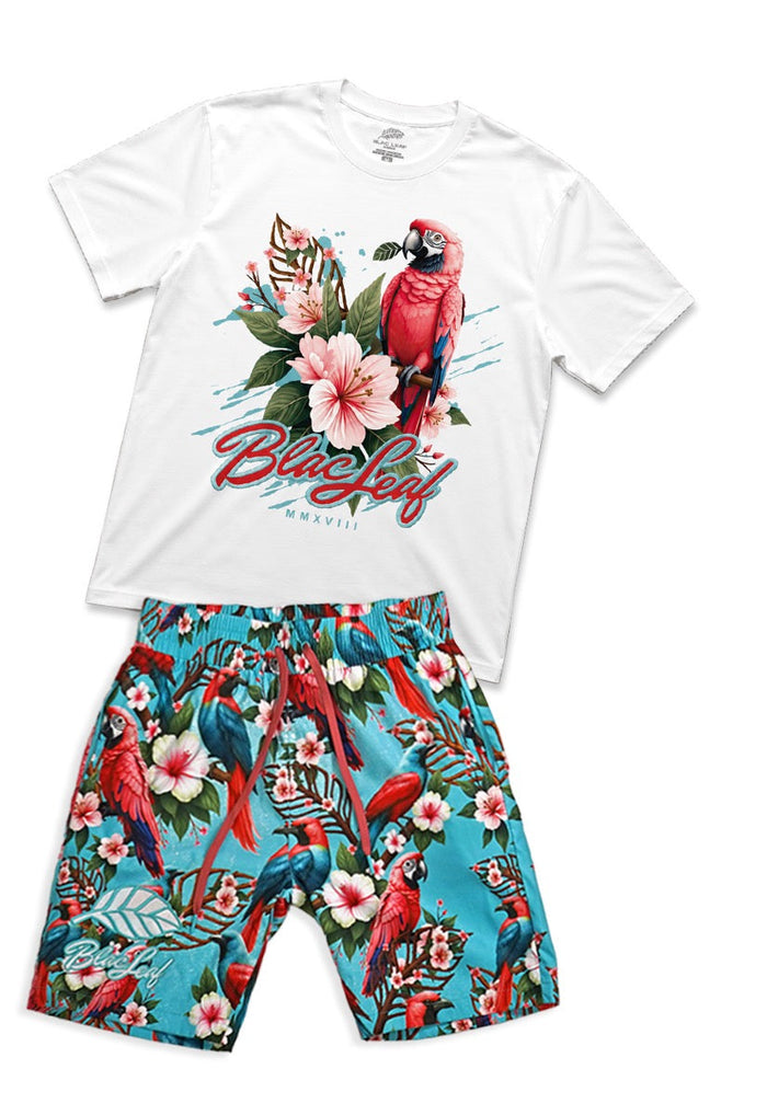 Better Tomorrow Shirt Domestic Tee and Tropical Arrangement AOP Short Bundle