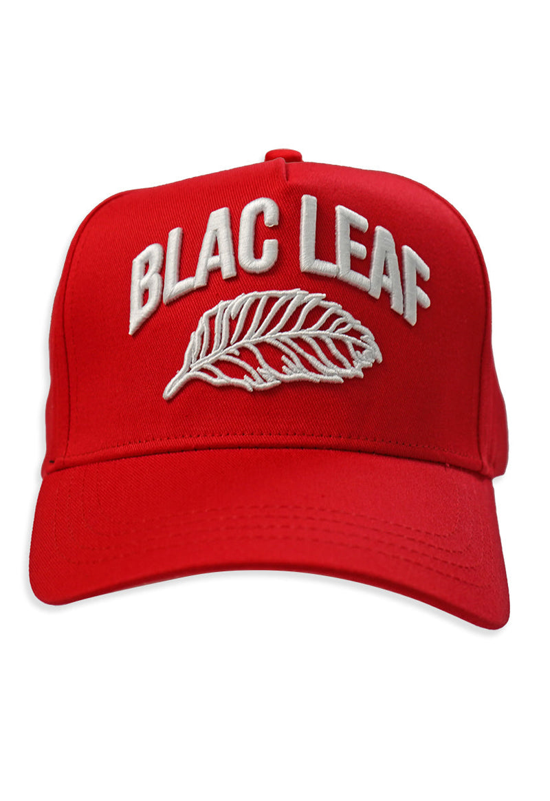 Greatness Starts Within Trucker Hat Red