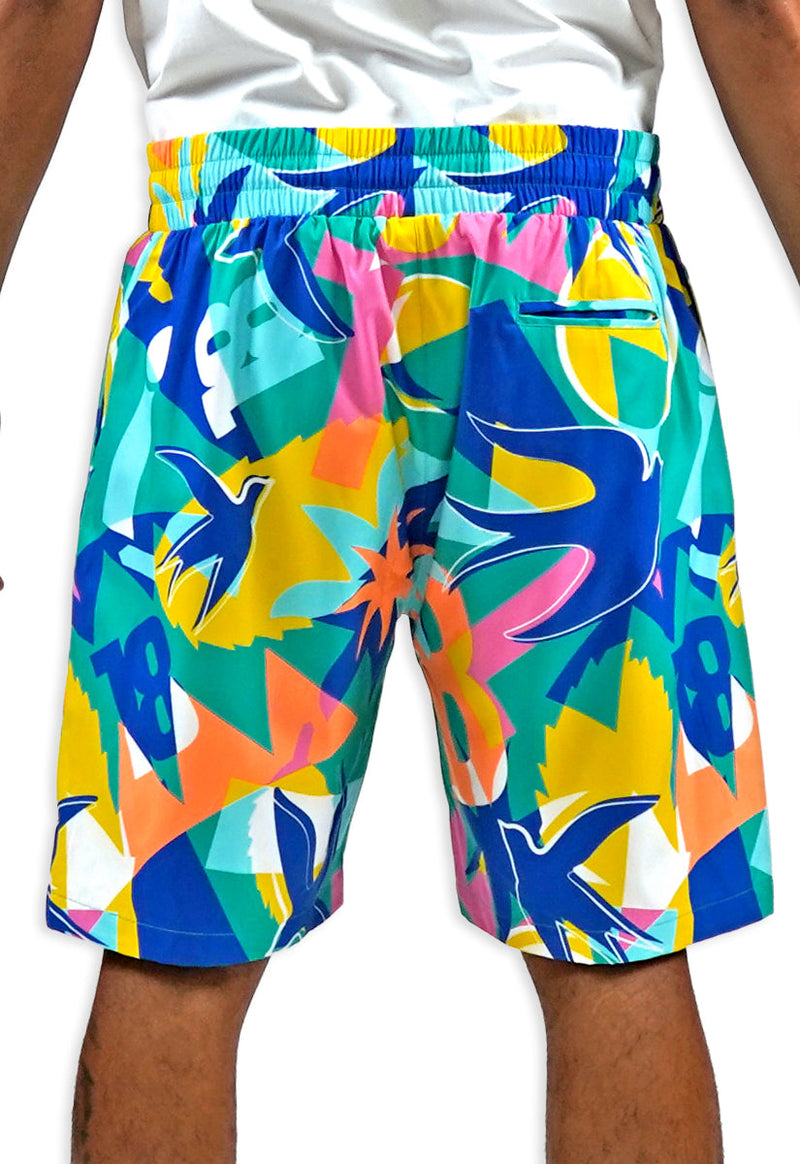 Soar Beyond Limits AOP Shorts