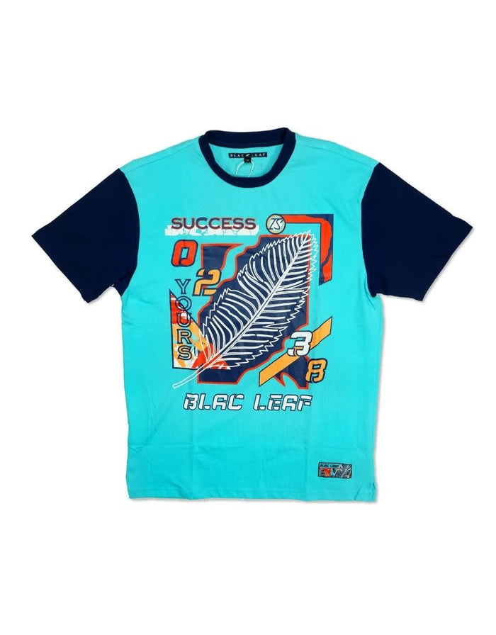 Success Is Yours Small Shirt