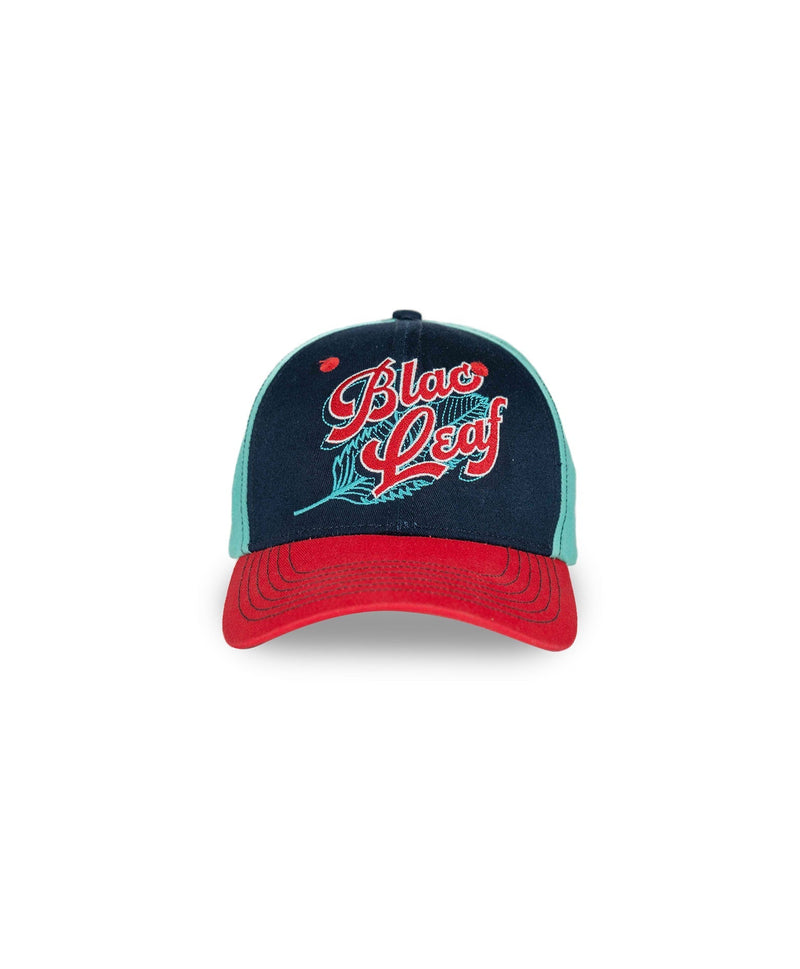 True Color Dad Hat