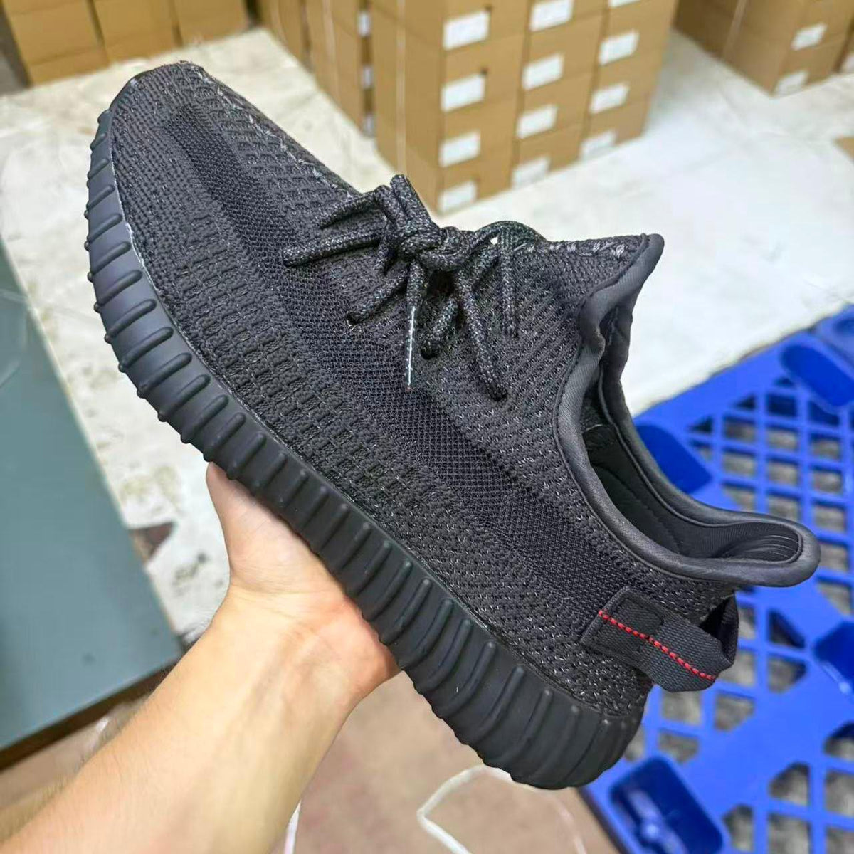 Yeezy 12