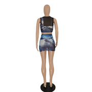 Sexy Mesh Print Sleeveless Skirts Two Piece Set FENF 272