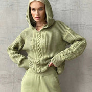 Fashion Hooded Long Sleeve Knit Sweater BLG T3713479A