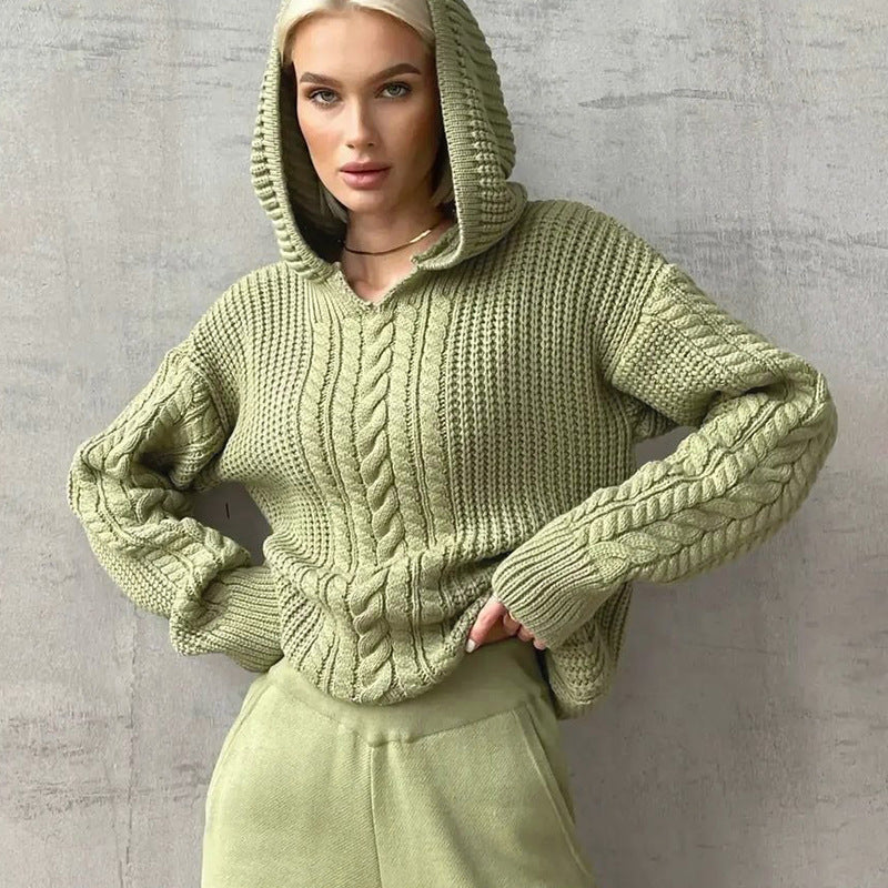 Fashion Hooded Long Sleeve Knit Sweater BLG T3713479A