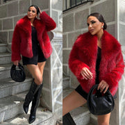 Faux Fur Collar Long Sleeve Short Jacket SH 391330