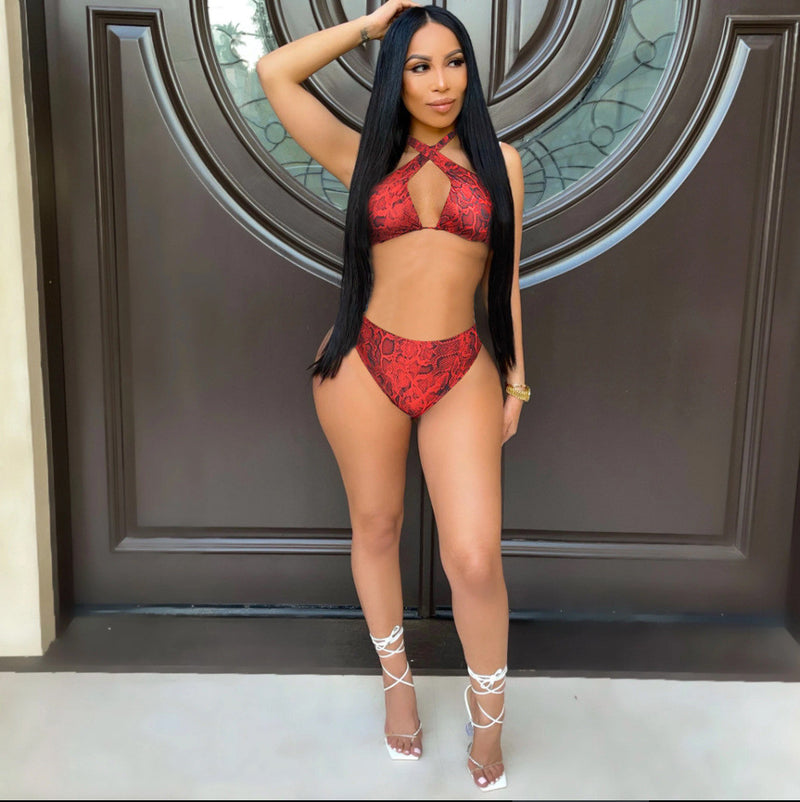 Sexy Snake Skin Print 2PCS Bikinis Set MDF 5226