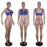 Plus Size Sexy America Flag Print Bikinis Sets SHD 9266