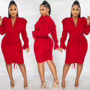 Solid Long Sleeve V Neck Ruched Bodycon Dress BY 5893
