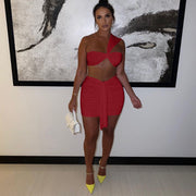 Solid Color Ruched One Shoulder Top And Skirt Two Piece Set JZHF 8028
