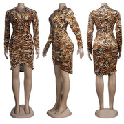Sexy Tiger Stripe Long Sleeve Bodycon Dress FSXF F320