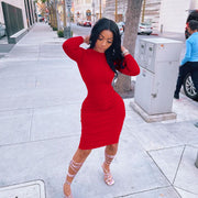Solid Long Sleeve Bodycon Dress FOSF 8095