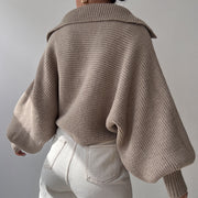 Fashion Long Sleeve Knits Lapel Sweater YMZY 21138