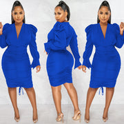 Solid Long Sleeve V Neck Ruched Bodycon Dress BY 5893