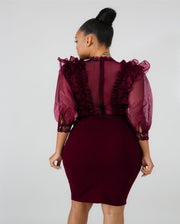Sexy Mesh See Through Ruffles Bodycon Dresses LA 3099