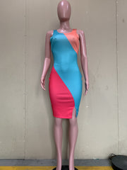 Contrast Color Sleeveless Bodycon Dress ORY 5235