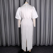 Plus Size Lace Patchwork Mesh Puff Sleeve Long Dress GKEN ADR060241