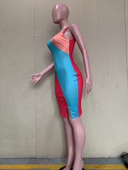 Contrast Color Sleeveless Bodycon Dress ORY 5235