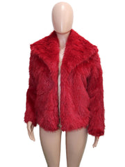 Faux Fur Collar Long Sleeve Short Jacket SH 391330