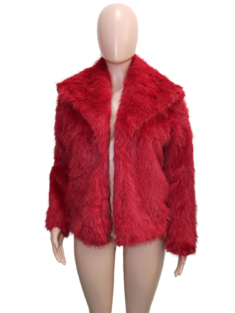 Faux Fur Collar Long Sleeve Short Jacket SH 391330
