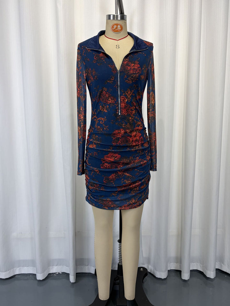 Print Mesh Long Sleeve Ruched Mini Dress GWDS 260631