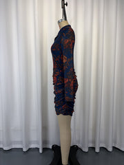 Print Mesh Long Sleeve Ruched Mini Dress GWDS 260631
