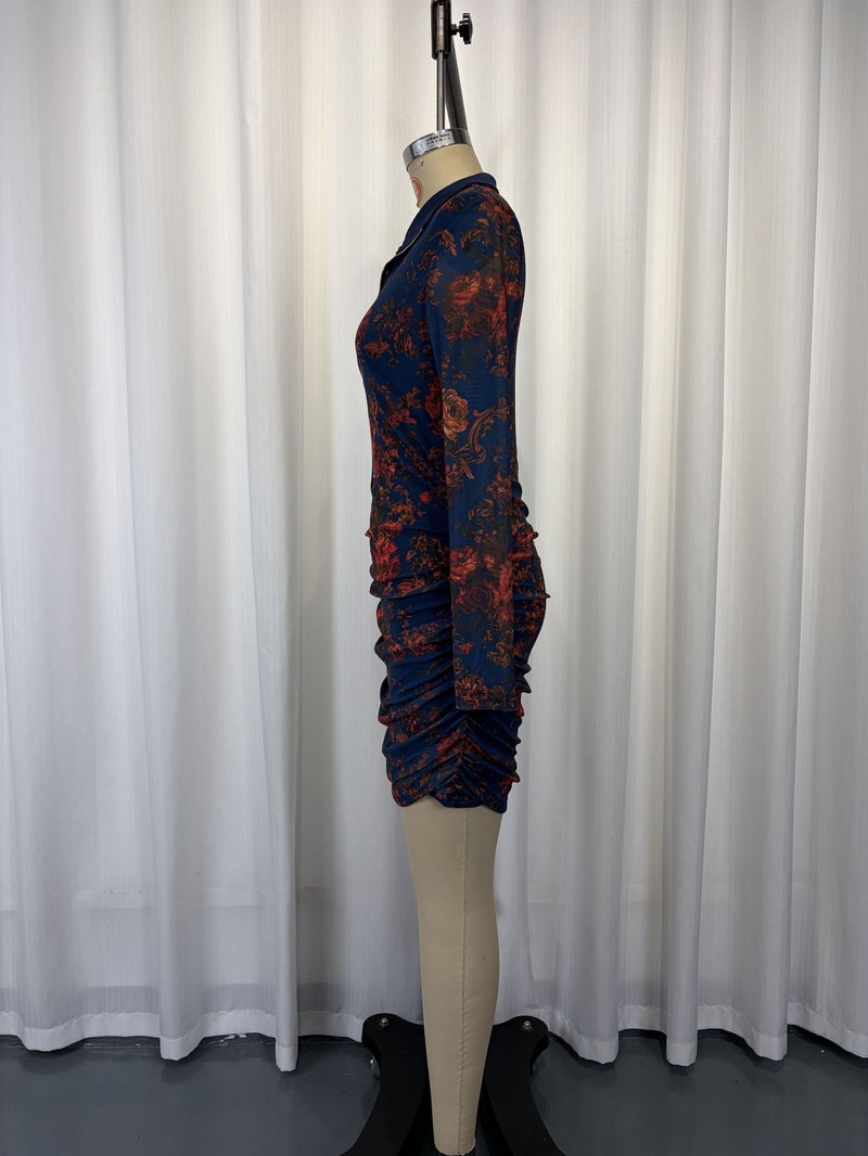 Print Mesh Long Sleeve Ruched Mini Dress GWDS 260631