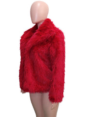 Faux Fur Collar Long Sleeve Short Jacket SH 391330