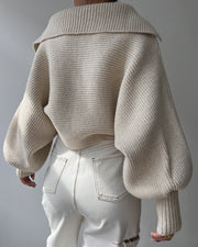 Fashion Long Sleeve Knits Lapel Sweater YMZY 21138