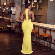 V Neck Halterneck Tie Up Maxi Dress YF 11083