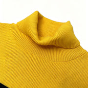 Plus Size Stripe High Collar Knits Sweater QMZF 1902