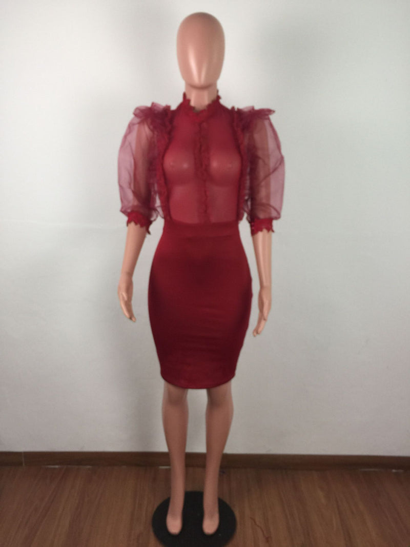 Sexy Mesh See Through Ruffles Bodycon Dresses LA 3099