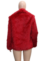 Faux Fur Collar Long Sleeve Short Jacket SH 391330