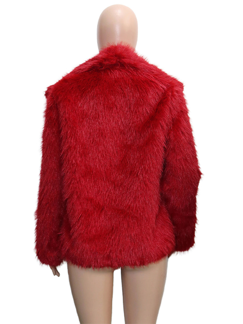 Faux Fur Collar Long Sleeve Short Jacket SH 391330
