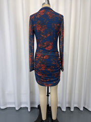 Print Mesh Long Sleeve Ruched Mini Dress GWDS 260631