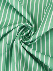 Plus Size Long Sleeve Stripe Print Shirt Shorts 2 Piece Set HNIF DHN124