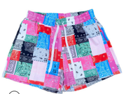 Plus Size Summer Casual Paisley Print Shorts FSL 108
