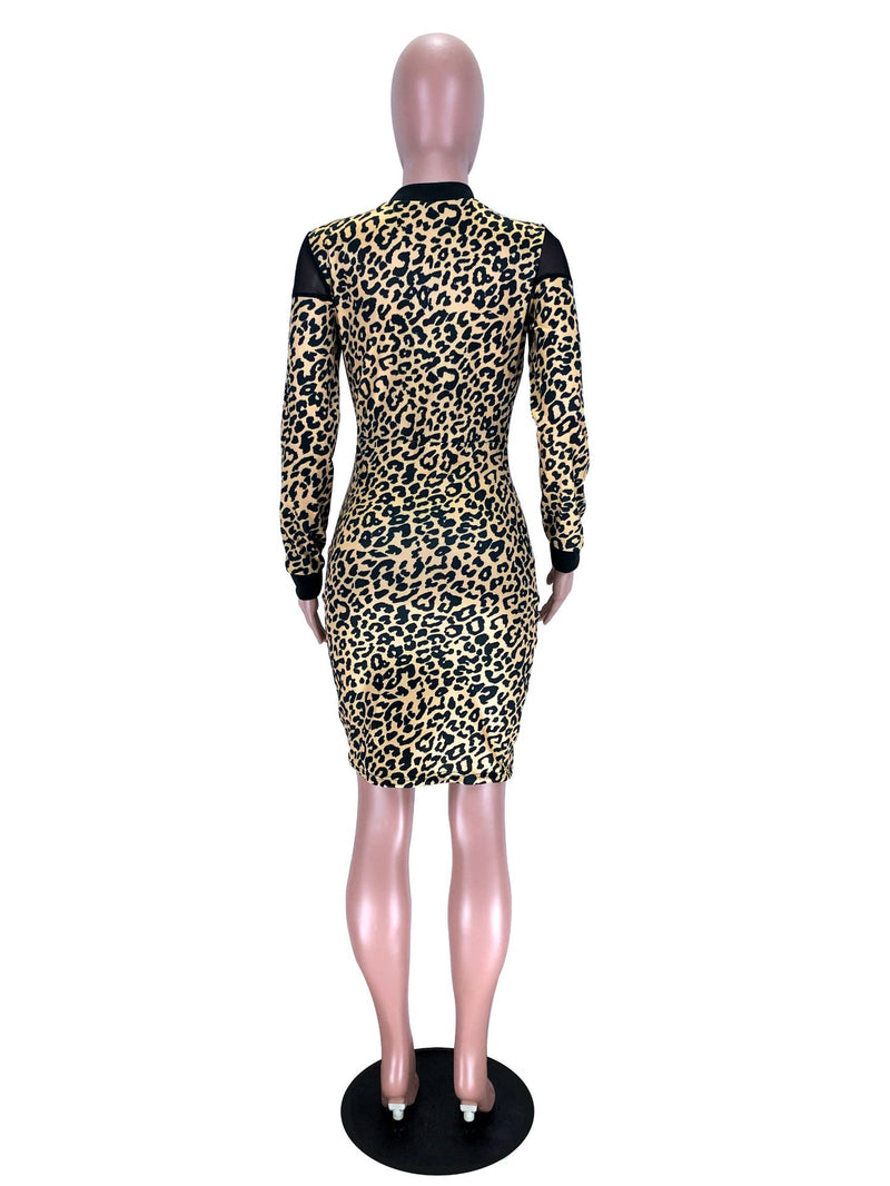 Sexy Printed Mesh Patchwork Long Sleeve Dress LM 8284