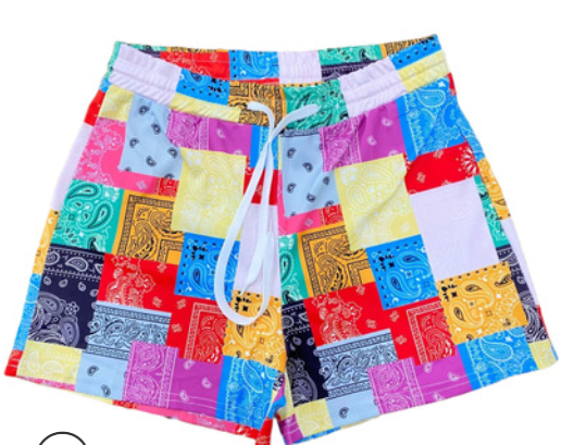 Plus Size Summer Casual Paisley Print Shorts FSL 108