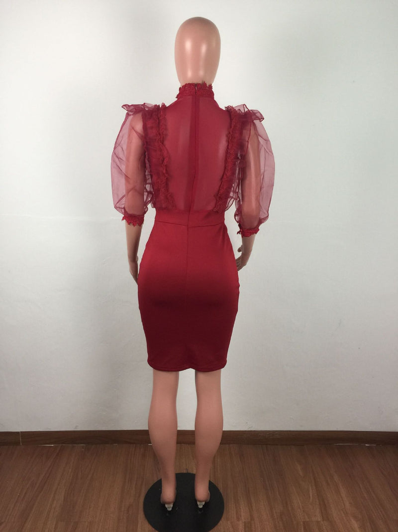 Sexy Mesh See Through Ruffles Bodycon Dresses LA 3099