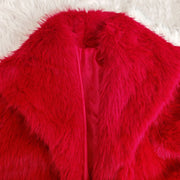 Faux Fur Collar Long Sleeve Short Jacket SH 391330